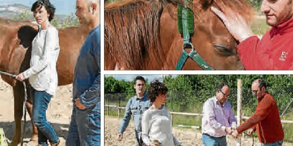 Noticia en información: ‘Susurrar a los caballos puede convertirte en un mejor jefe’