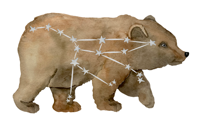 constelaciones familiares explicado con un oso pardo